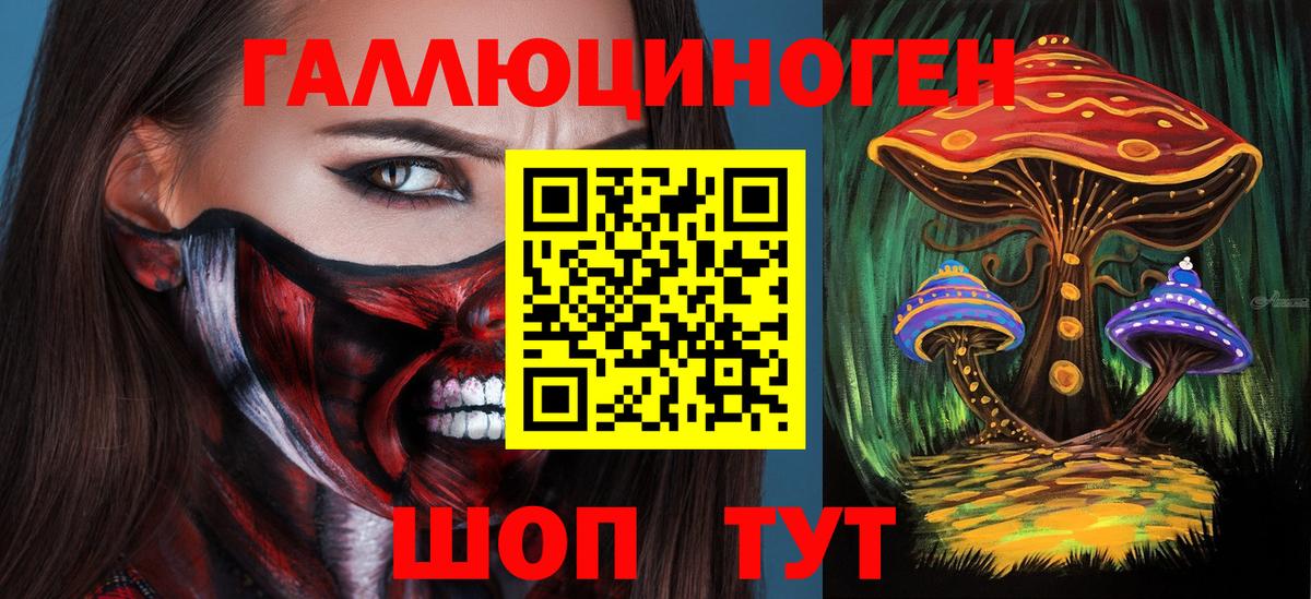 Тосно  Псилоцибиновые грибы Magic Shrooms  Вход с VPN 